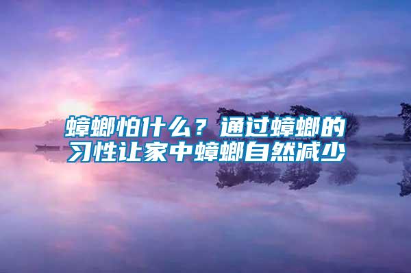 蟑螂怕什么？通过蟑螂的习性让家中蟑螂自然减少