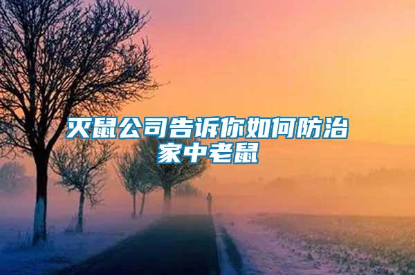 灭鼠公司告诉你如何防治家中老鼠