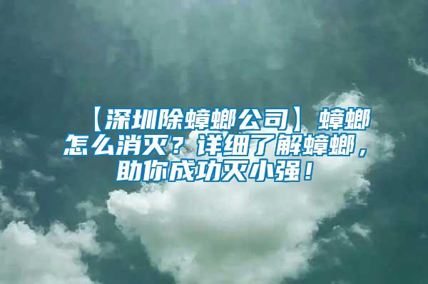 【深圳除蟑螂公司】蟑螂怎么消灭？详细了解蟑螂，助你成功灭小强！