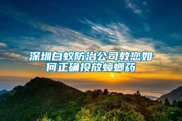 深圳白蚁防治公司教您如何正确投放蟑螂药