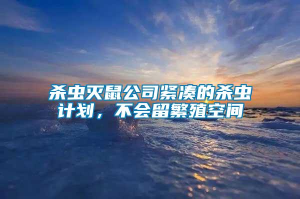 杀虫灭鼠公司紧凑的杀虫计划，不会留繁殖空间