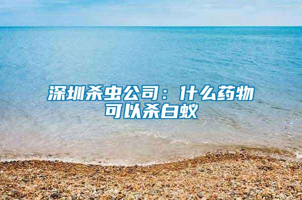 深圳杀虫公司：什么药物可以杀白蚁