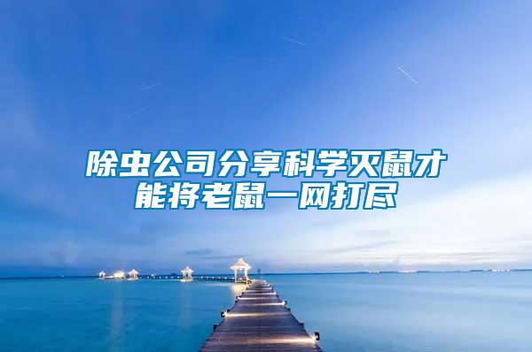 除虫公司分享科学灭鼠才能将老鼠一网打尽