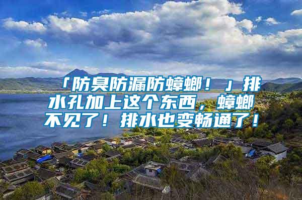 「防臭防漏防蟑螂！」排水孔加上这个东西，蟑螂不见了！排水也变畅通了！