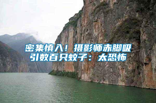 密集慎入！摄影师赤脚吸引数百只蚊子：太恐怖