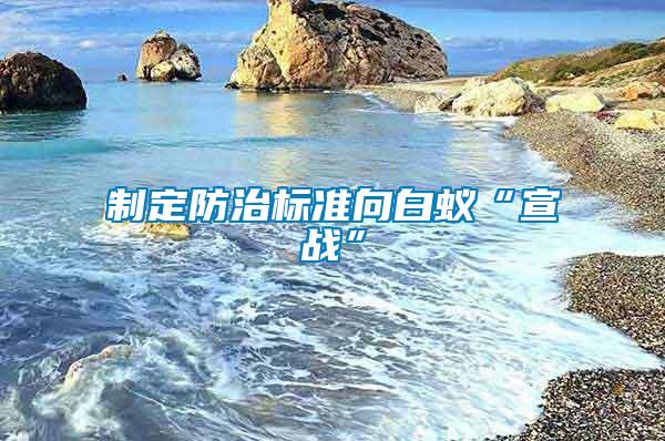 制定防治标准向白蚁“宣战”