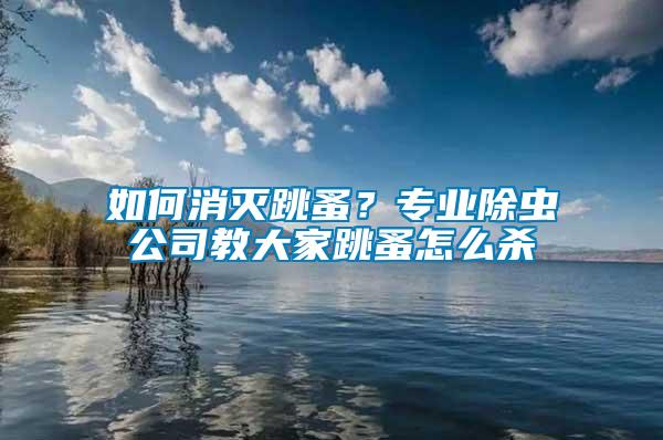 如何消灭跳蚤？专业除虫公司教大家跳蚤怎么杀