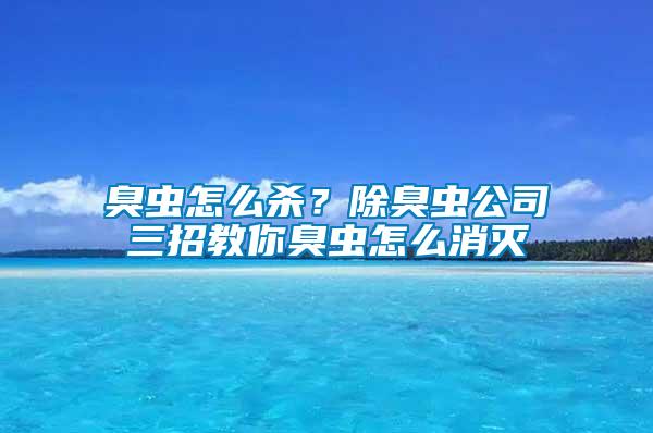 臭虫怎么杀？除臭虫公司三招教你臭虫怎么消灭