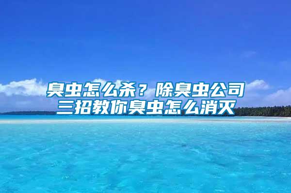 臭虫怎么杀？除臭虫公司三招教你臭虫怎么消灭