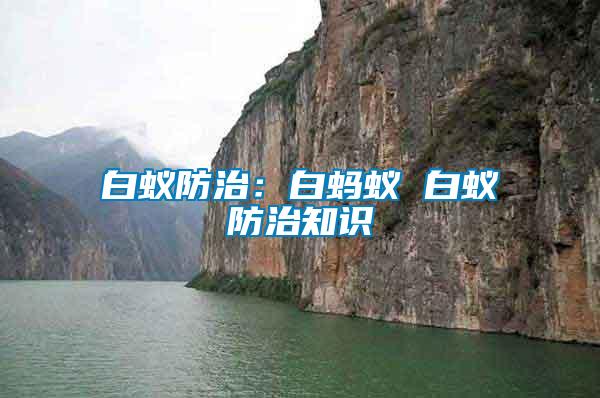 白蚁防治：白蚂蚁 白蚁防治知识
