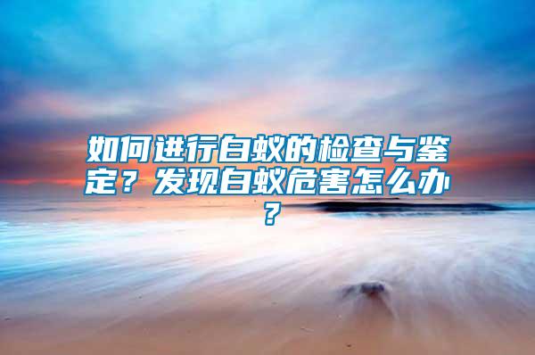 如何进行白蚁的检查与鉴定？发现白蚁危害怎么办？