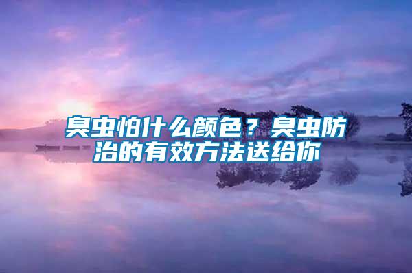 臭虫怕什么颜色？臭虫防治的有效方法送给你