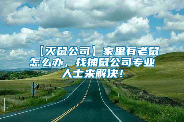 【灭鼠公司】家里有老鼠怎么办，找捕鼠公司专业人士来解决！