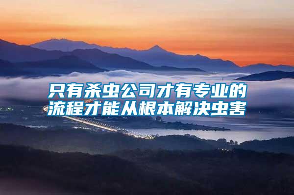 只有杀虫公司才有专业的流程才能从根本解决虫害