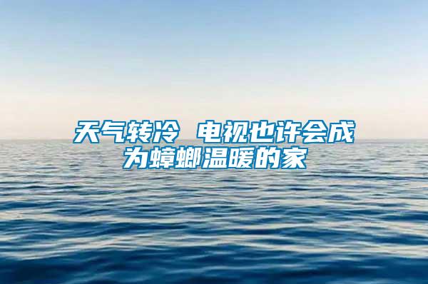 天气转冷 电视也许会成为蟑螂温暖的家