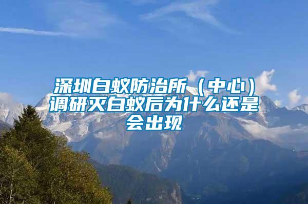 深圳白蚁防治所（中心）调研灭白蚁后为什么还是会出现