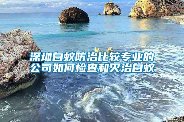 深圳白蚁防治比较专业的公司如何检查和灭治白蚁