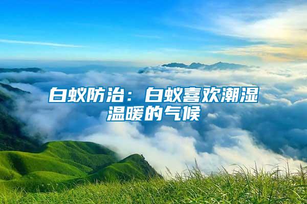 白蚁防治：白蚁喜欢潮湿温暖的气候