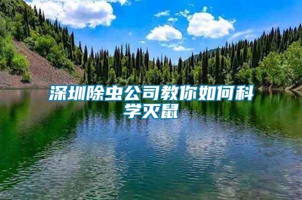 深圳除虫公司教你如何科学灭鼠