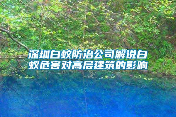 深圳白蚁防治公司解说白蚁危害对高层建筑的影响