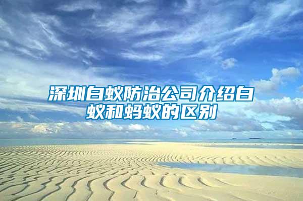 深圳白蚁防治公司介绍白蚁和蚂蚁的区别