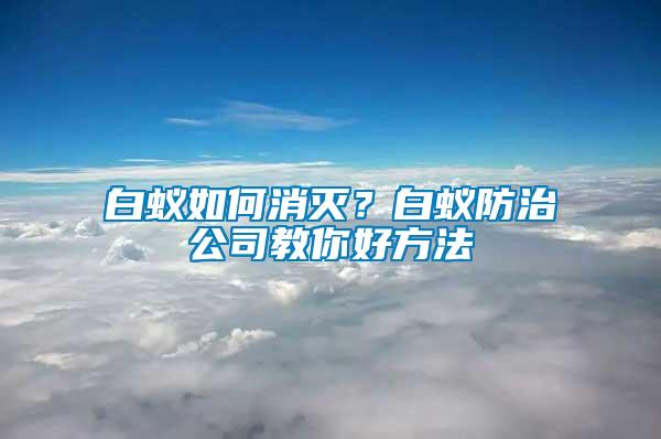 白蚁如何消灭？白蚁防治公司教你好方法