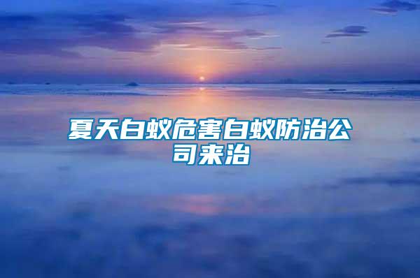 夏天白蚁危害白蚁防治公司来治