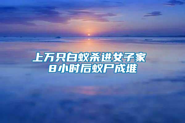 上万只白蚁杀进女子家 8小时后蚁尸成堆
