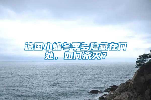 德国小蠊冬季多隐藏在何处，如何杀灭？