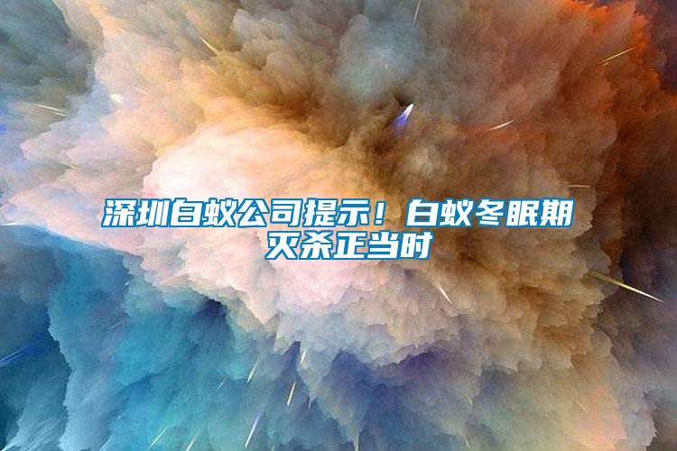 深圳白蚁公司提示！白蚁冬眠期 灭杀正当时