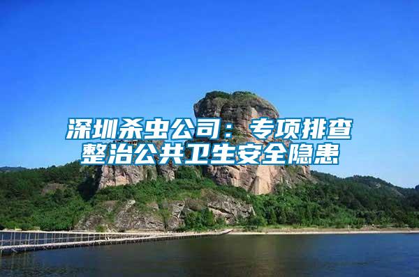 深圳杀虫公司：专项排查整治公共卫生安全隐患