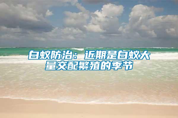 白蚁防治：近期是白蚁大量交配繁殖的季节