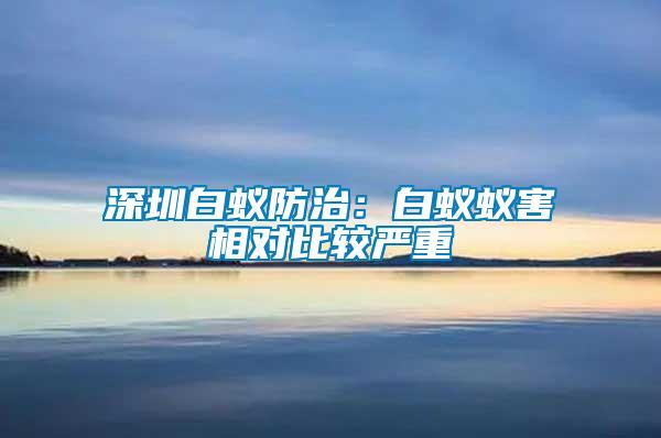 深圳白蚁防治：白蚁蚁害相对比较严重