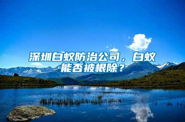 深圳白蚁防治公司，白蚁能否被根除？