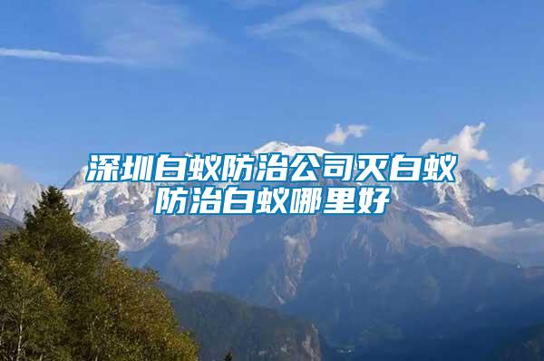 深圳白蚁防治公司灭白蚁防治白蚁哪里好