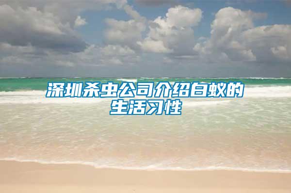 深圳杀虫公司介绍白蚁的生活习性