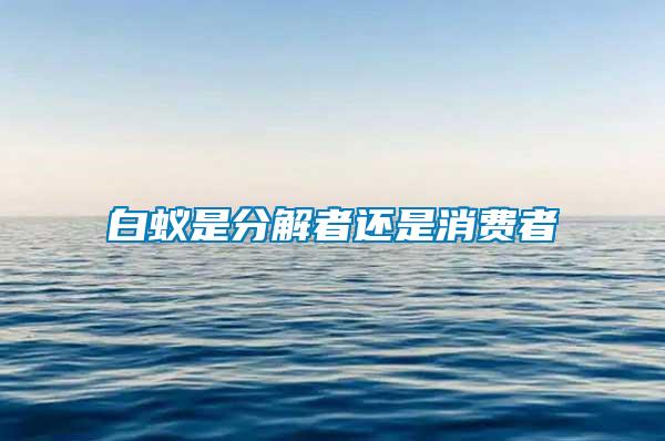 白蚁是分解者还是消费者