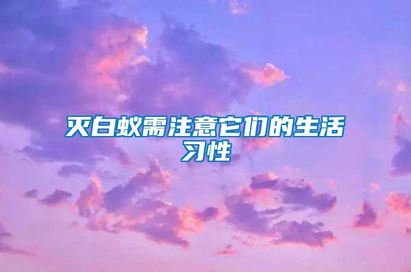 灭白蚁需注意它们的生活习性