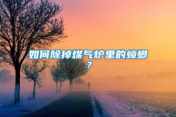 如何除掉煤气炉里的蟑螂？