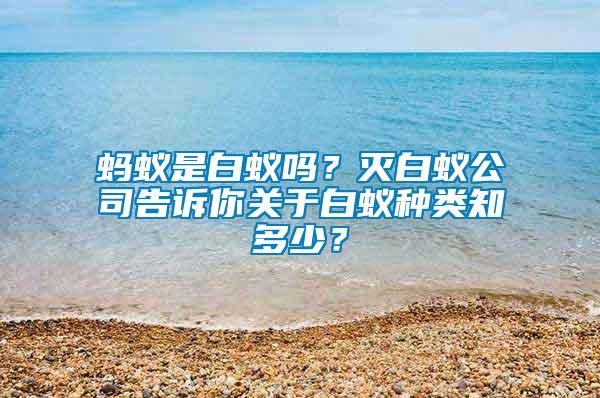 蚂蚁是白蚁吗？灭白蚁公司告诉你关于白蚁种类知多少？