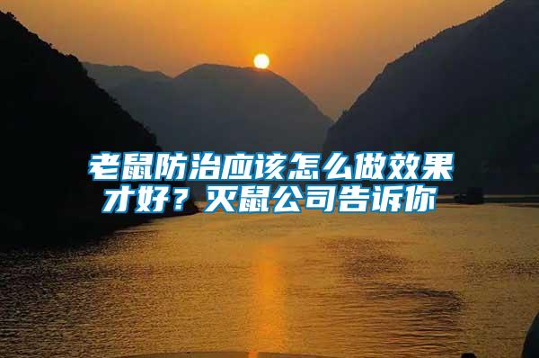 老鼠防治应该怎么做效果才好？灭鼠公司告诉你