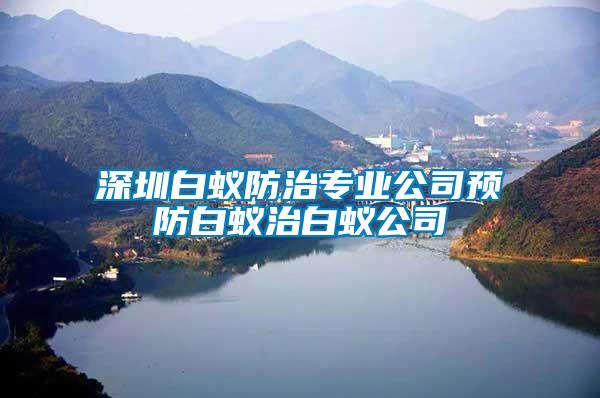 深圳白蚁防治专业公司预防白蚁治白蚁公司