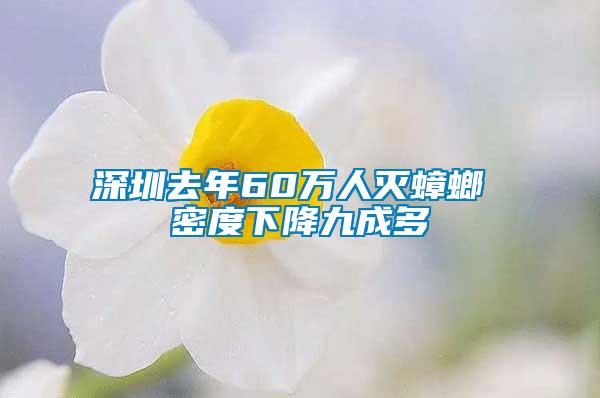 深圳去年60万人灭蟑螂 密度下降九成多