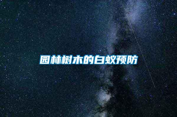 园林树木的白蚁预防