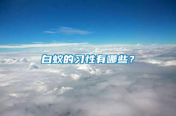 白蚁的习性有哪些？