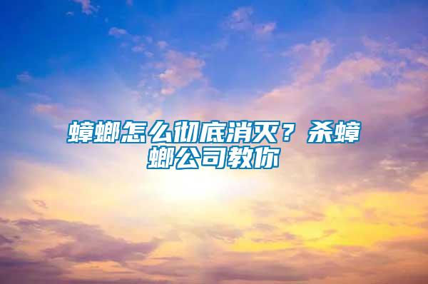 蟑螂怎么彻底消灭？杀蟑螂公司教你