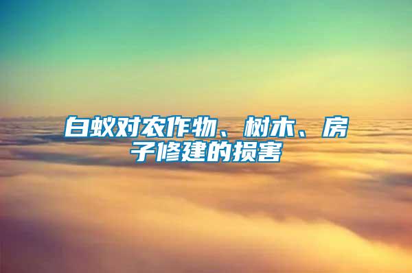 白蚁对农作物、树木、房子修建的损害