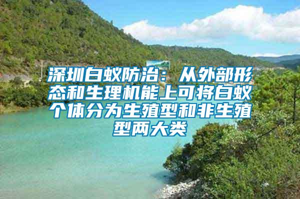 深圳白蚁防治：从外部形态和生理机能上可将白蚁个体分为生殖型和非生殖型两大类