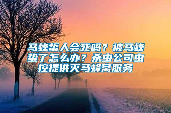 马蜂蜇人会死吗？被马蜂蛰了怎么办？杀虫公司虫控提供灭马蜂窝服务