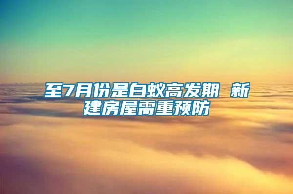 至7月份是白蚁高发期 新建房屋需重预防